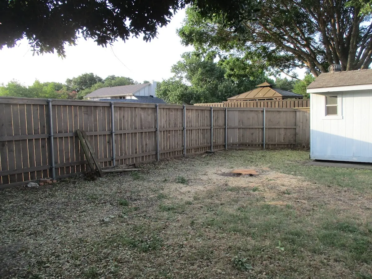 Cleared yard after professional tree removal in Coffee Creek